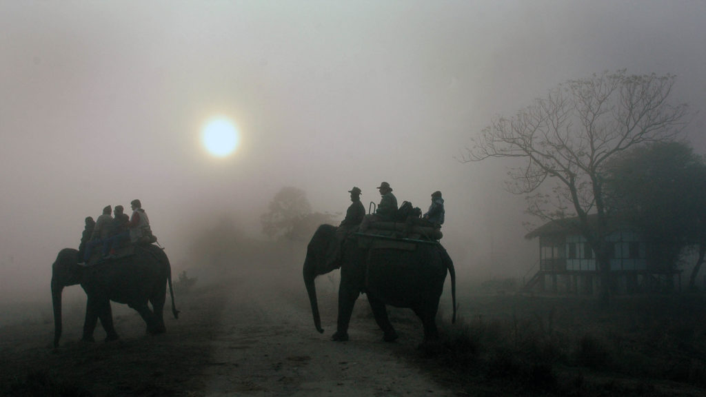 Dooars Elephant Safari